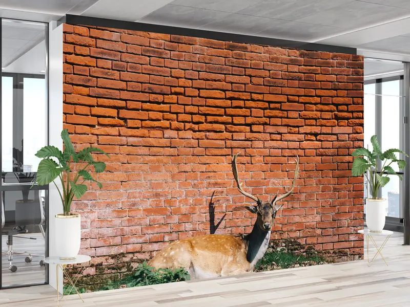 Elegante Wildtier-Tapete: Gedrucktes Hirschfoto für Naturliebhaber