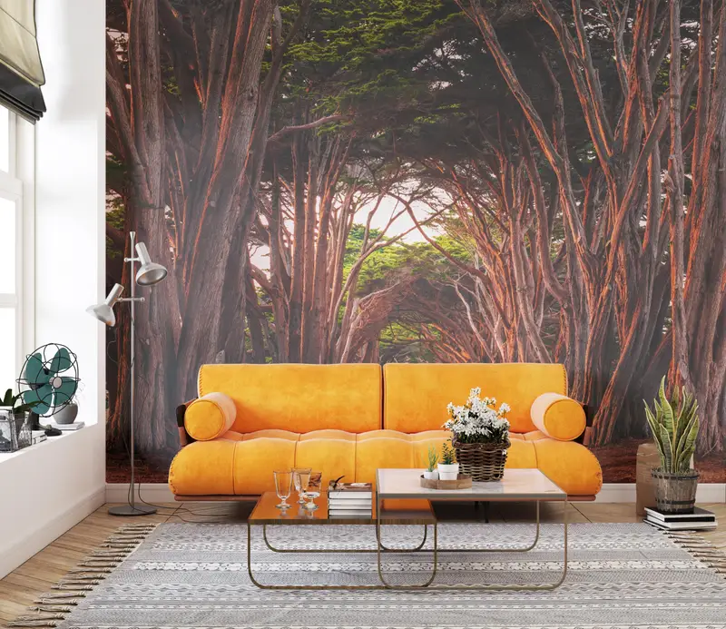 Landscape Wall Art, California Cypress Tree Tunnel Wall Stickers, Stunning Cypress Tree Tunnel Mural, Tree Path Wall Art, Paper Crafts, - 5
