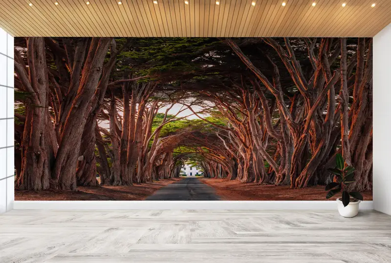 Landscape Wall Art, California Cypress Tree Tunnel Wall Stickers, Stunning Cypress Tree Tunnel Mural, Tree Path Wall Art, Paper Crafts, - 2