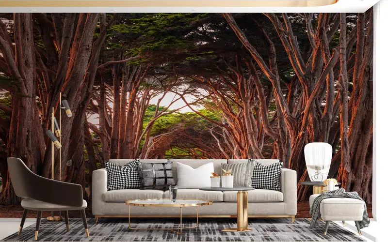 Landscape Wall Art, California Cypress Tree Tunnel Wall Stickers, Stunning Cypress Tree Tunnel Mural, Tree Path Wall Art, Paper Crafts, - 6