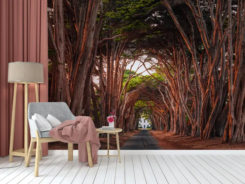 Landscape Wall Art, California Cypress Tree Tunnel Wall Stickers, Stunning Cypress Tree Tunnel Mural, Tree Path Wall Art, Paper Crafts, - 4