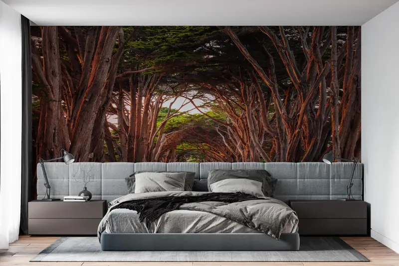 Landscape Wall Art, California Cypress Tree Tunnel Wall Stickers, Stunning Cypress Tree Tunnel Mural, Tree Path Wall Art, Paper Crafts, - 3