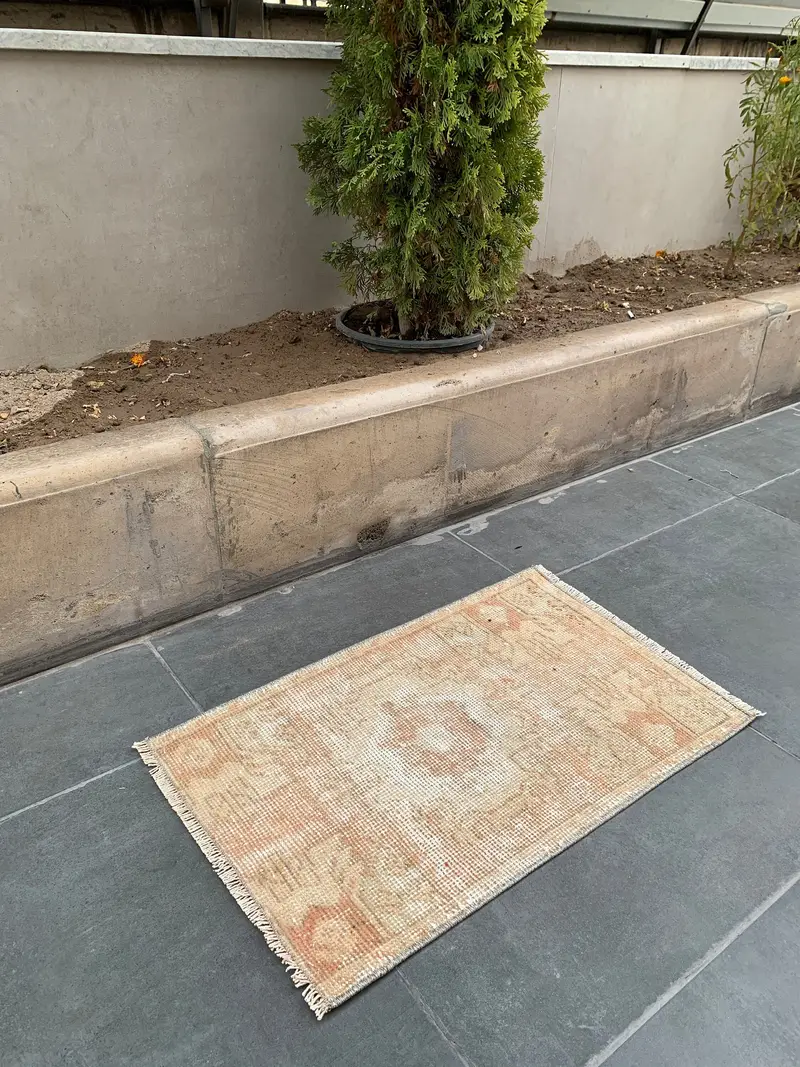 Orange Oriental Rug, 1,6x2,7 ft Elegant Beige Accent