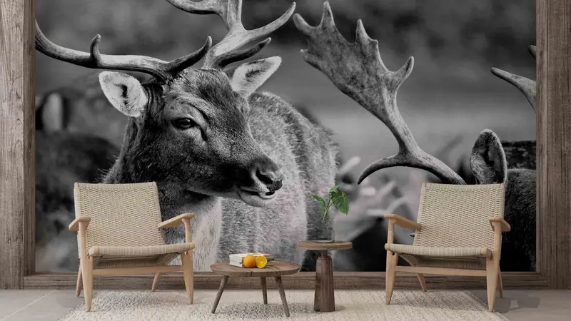 Zarif Geyik Yaban Hayatı Baskılı Duvar Kağıdı: Çatı Katı Alanınızı Dönüştürün