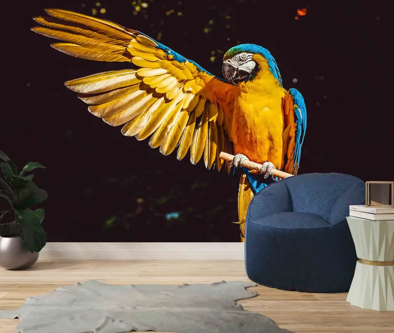 Wallpaper Border, Removable Wall Paper, Paper Crafts, Black and Yellow Wall Paper, Modern Wall Mural, Parrot Wall Paper, Peel and Stick - 8