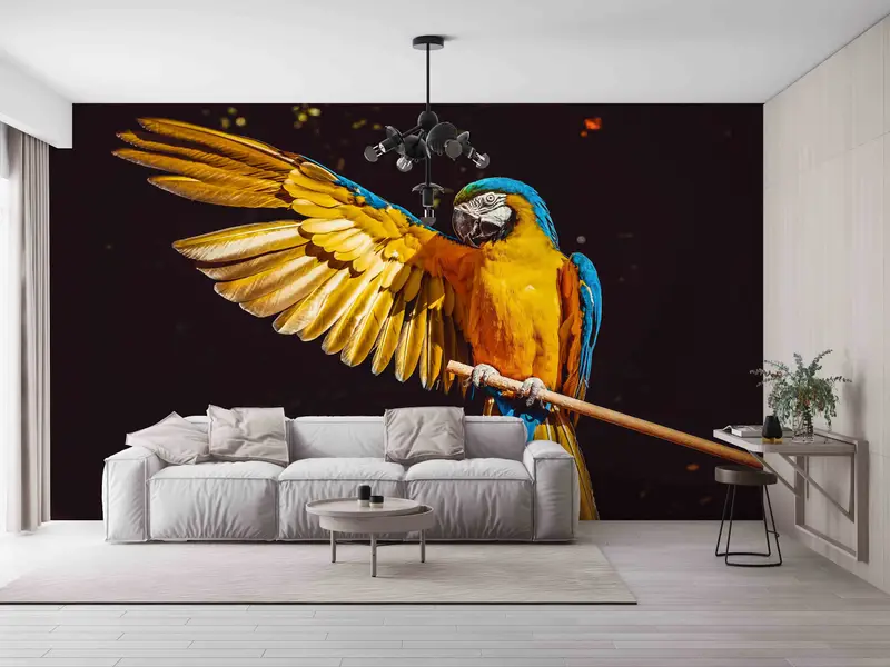 Wallpaper Border, Removable Wall Paper, Paper Crafts, Black and Yellow Wall Paper, Modern Wall Mural, Parrot Wall Paper, Peel and Stick - 1