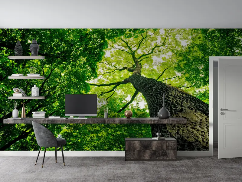 Baumfotografie Wandmalerei, alte Baum Wandmalerei, Big Tree Tapete, Baumwand, Blick auf Wandmalerei, Natur Wandmalerei, - 2