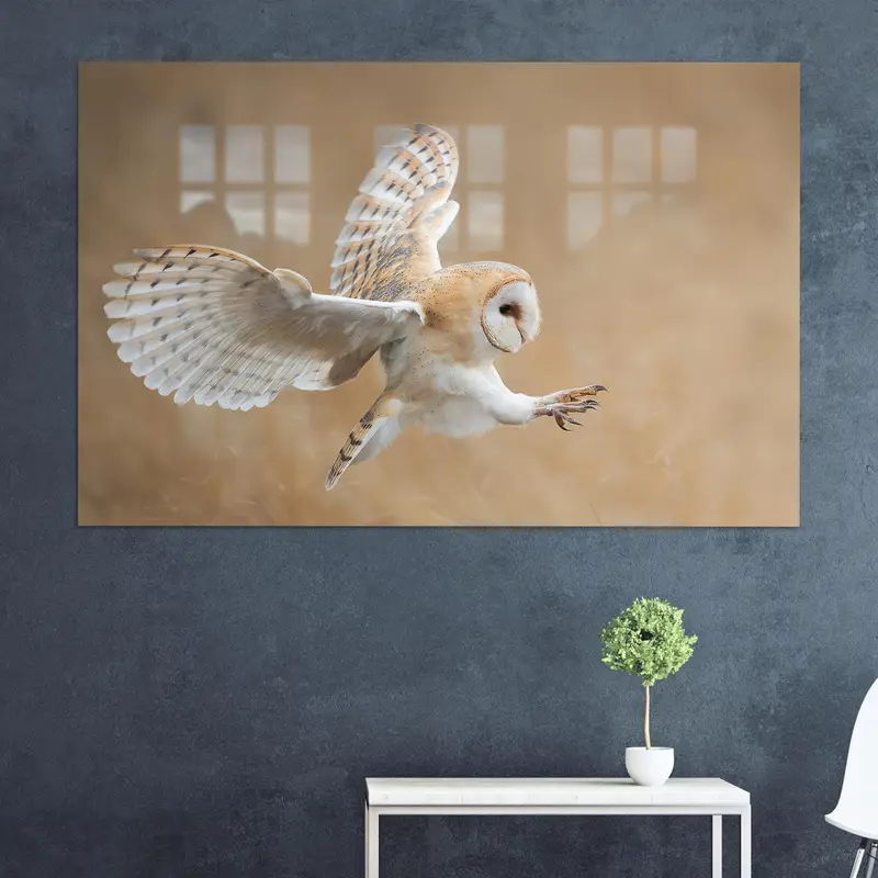 Zarif Baskılı Cam: Saldırıdan Önce Baykuş Yaban Hayatı Loft Teması