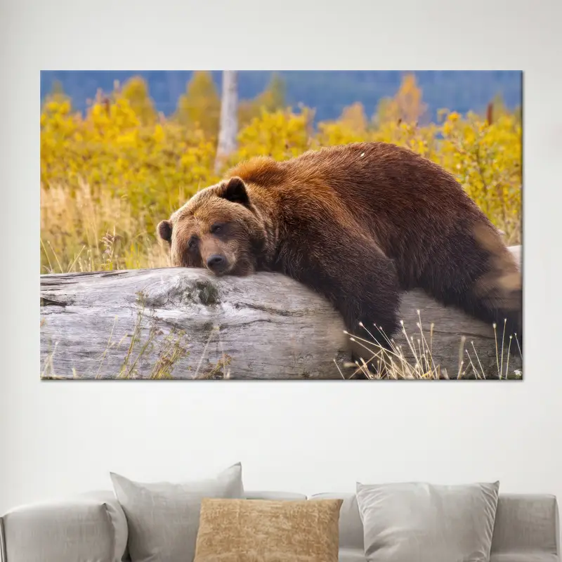 モダンな面白いクマのキャンバス: あなたの男の洞窟のためのトレンディなアート