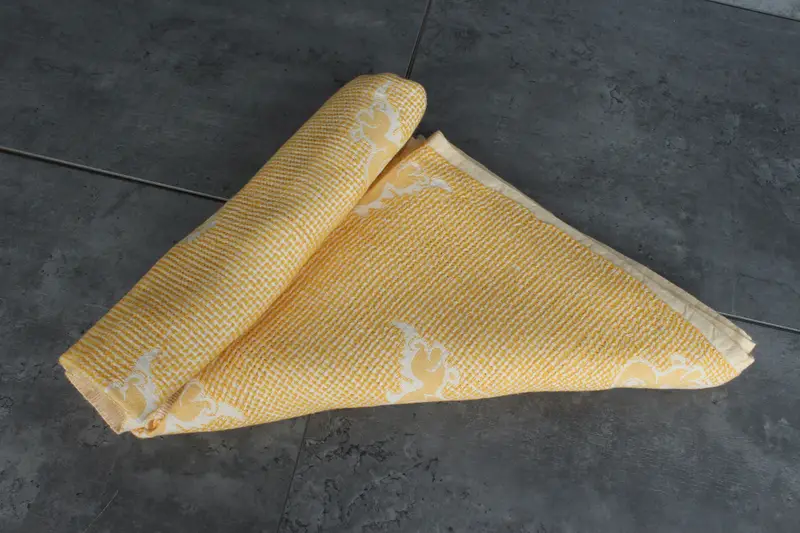 Woven Blanket, Bridal Shower Gifts, Bridesmaid Gifts, Custom Wedding Gifts, Spooky Bachelorette Party, 50x48 Cotton Dinosaur Design Towel - 8