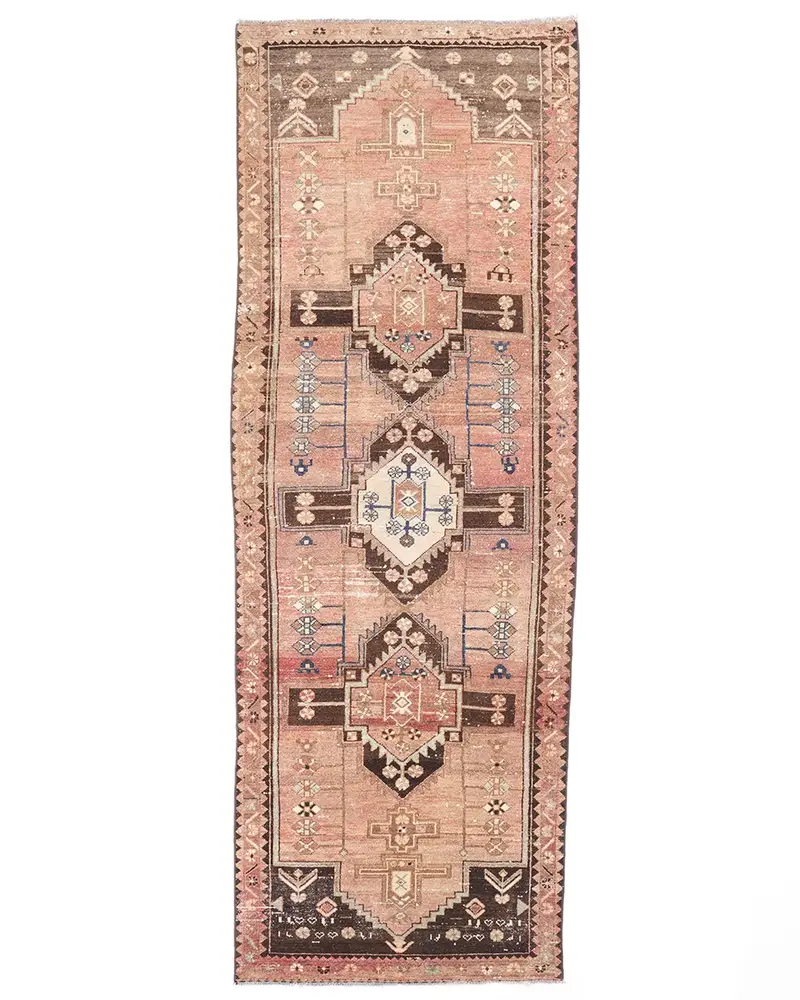Brown Southwestern Rug, 3,2x9,1 ft Bronze Accent