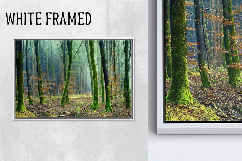 Doğanın Kucaklaşması: Orman Huzurunun Basılı Kanvası