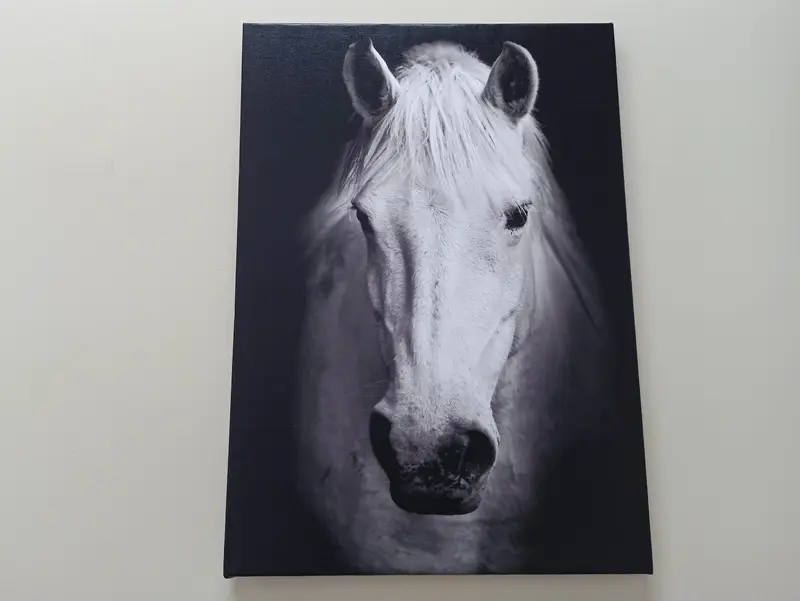 Moderne Pferde-Fotoleinwand: Elegantes Geschenk für Pferdeliebhaber