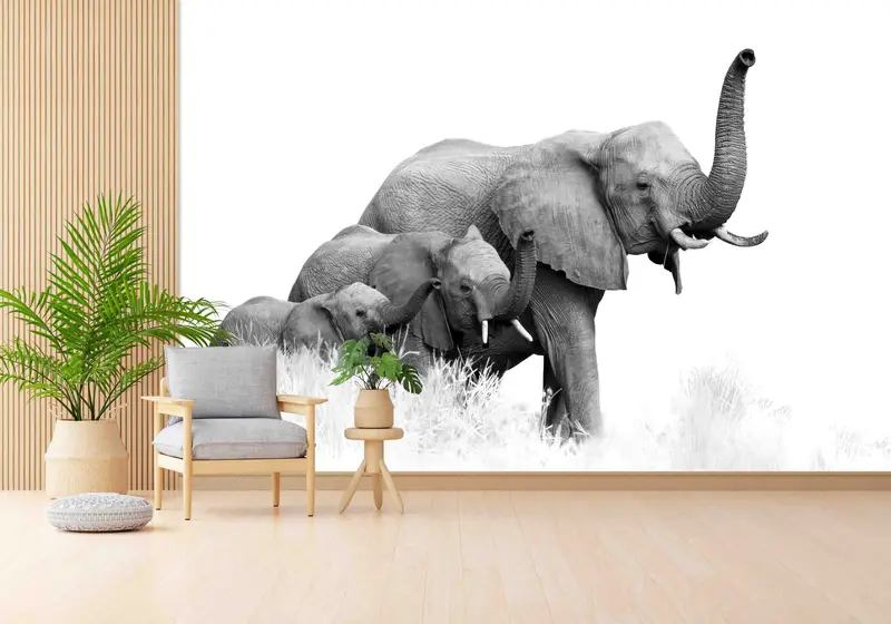 Elegante, moderne Tapete mit Elefantendruck für Büro und Loft