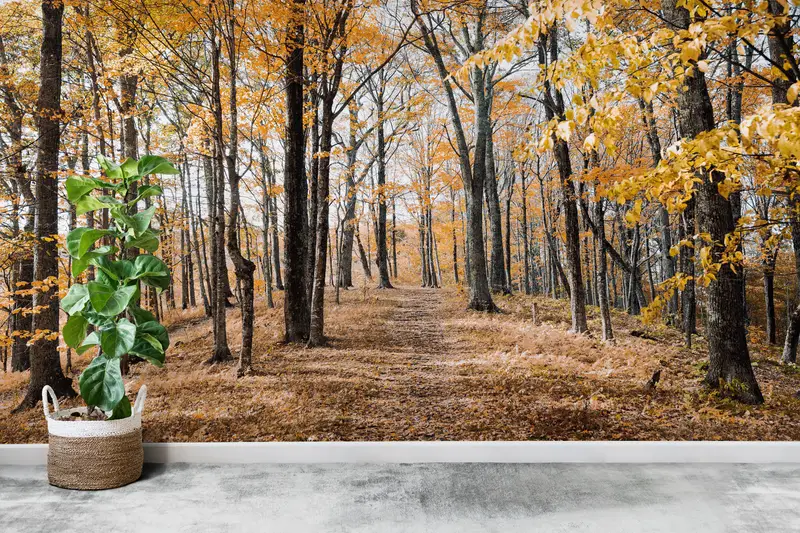 Tree Wall Painting, Forest View Wallpaper, Landscape Wallpaper, Forest Wall Painting, View Wall Mural, Autumn Leaves Wall Painting, - 4