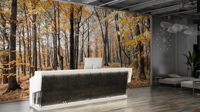 Tree Wall Painting, Forest View Wallpaper, Landscape Wallpaper, Forest Wall Painting, View Wall Mural, Autumn Leaves Wall Painting, - 5