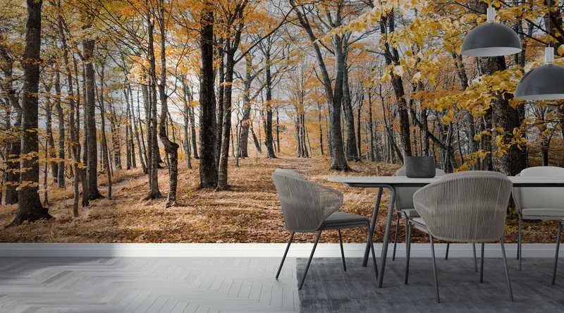 Tree Wall Painting, Forest View Wallpaper, Landscape Wallpaper, Forest Wall Painting, View Wall Mural, Autumn Leaves Wall Painting, - 7