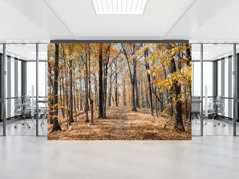 Tree Wall Painting, Forest View Wallpaper, Landscape Wallpaper, Forest Wall Painting, View Wall Mural, Autumn Leaves Wall Painting, - 2