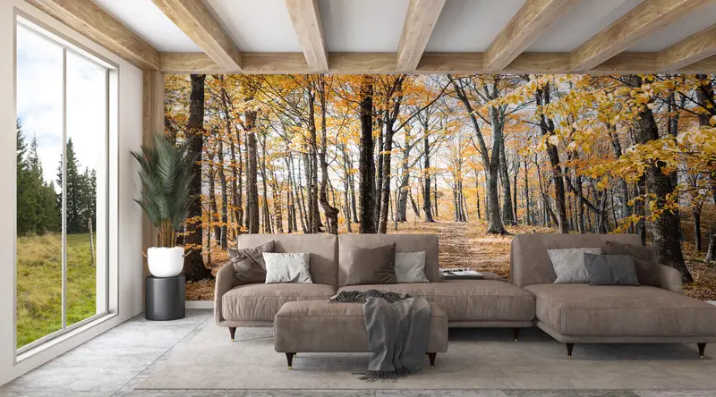 Tree Wall Painting, Forest View Wallpaper, Landscape Wallpaper, Forest Wall Painting, View Wall Mural, Autumn Leaves Wall Painting, - 8