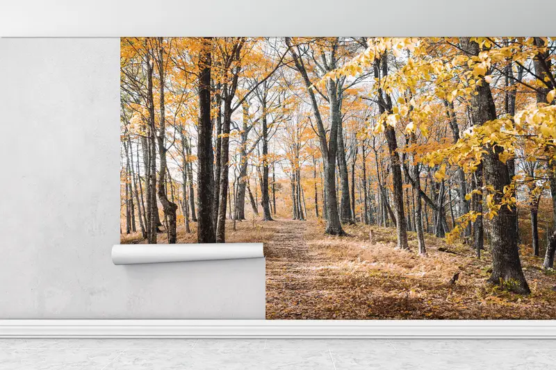Tree Wall Painting, Forest View Wallpaper, Landscape Wallpaper, Forest Wall Painting, View Wall Mural, Autumn Leaves Wall Painting, - 1