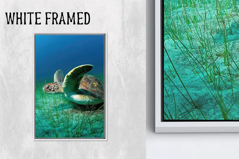 Modern Tropikal Kaplumbağa Deniz Kanvas - Trendy Baskılı Duvar Sanatı