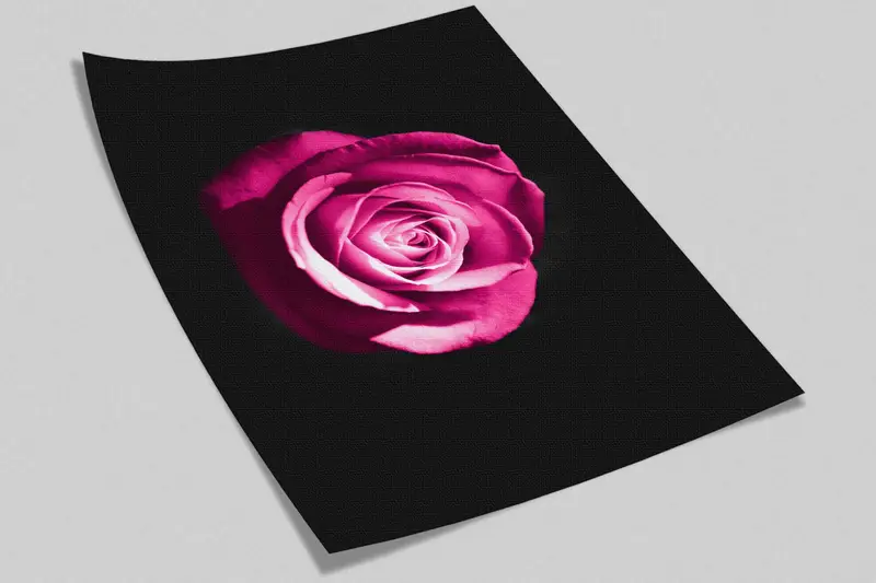 Flower Wall Poster, Wall Mural Wallpaper, Wallpaper Peel And Stick, Pink Rose Wallpaper, Room Wall Decor, Black Wall Paper, Wallpaper Mural, - 3