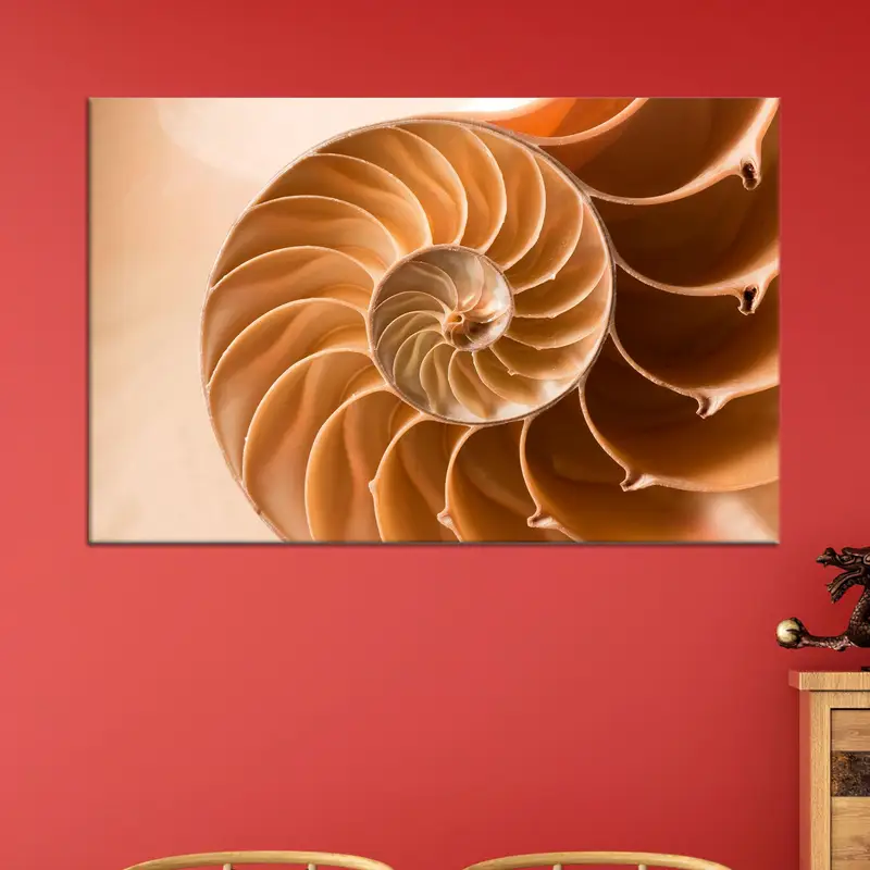 Elegant Seashell Neutral Tones Coastal Printed Canvas Art