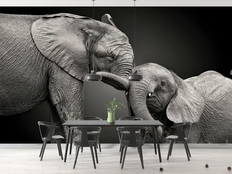 Zarif Baskılı Duvar Kağıdı: Gri Tonlarda İki Fil