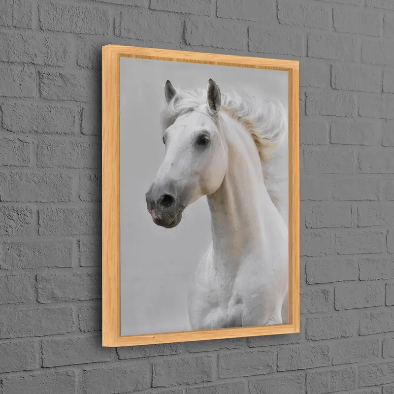 エレガントな白い馬のキャンバス: 馬愛好家への完璧なギフト