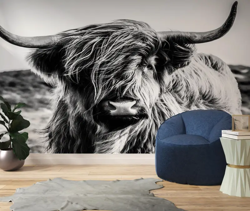 Man Cave için Zarif İskoç İneği Siyah & Beyaz Baskılı Duvar Kağıdı