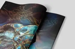 Thumbnail 7