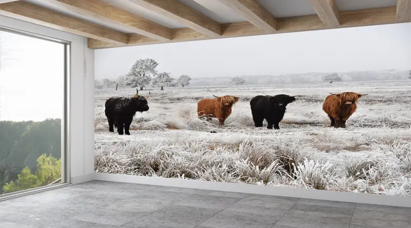 Papel pintado impreso con fotografía de vaca elegante: paisaje natural de granja