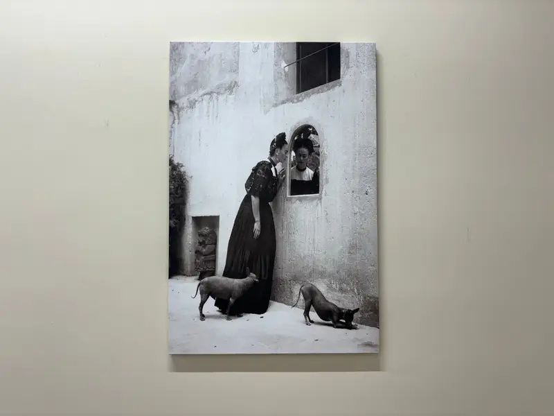 Frida Kahlo & Xolo Dog Canvas: Entfesselte künstlerische Eleganz
