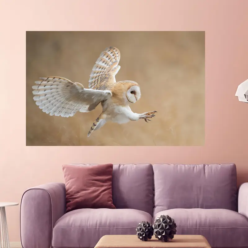 Elegant Printed Glass: Wildlife Owl Design for Modern Lofts