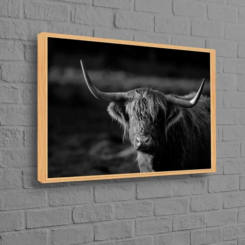 Lienzo Majestic Highland Cow: Impresión artística de naturaleza salvaje