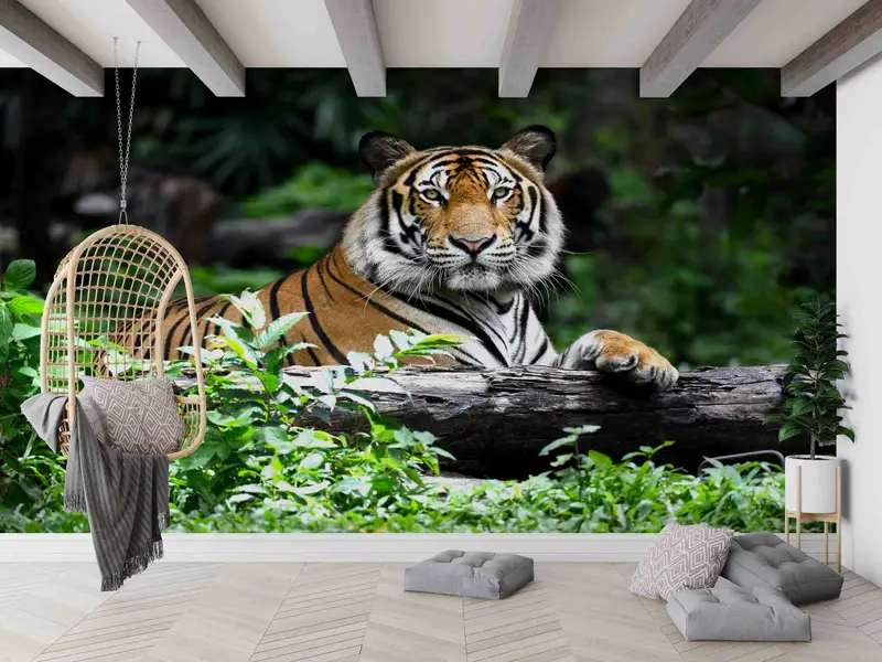 Loft Dekor için Zarif Kaplan Ormanı Manzaralı Baskılı Duvar Kağıdı