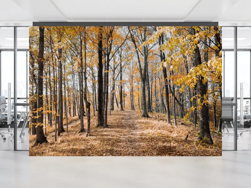 Baskılı Sonbahar Ormanı Duvar Kağıdı: Doğadan Esinlenen Zarif Dekor