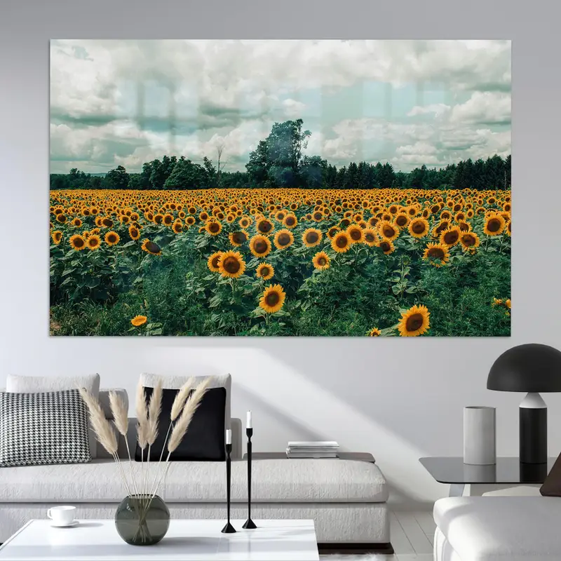 Zarif Baskılı Cam: Modern Mutfaklar için Ayçiçeği Tarlası Manzarası