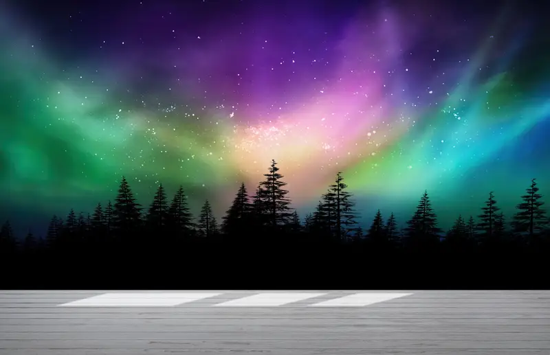 Basılı Duvar Kağıdı: Aurora Işıkları ve Orman Siluetleri
