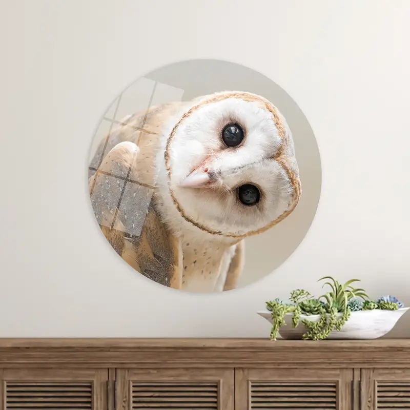 モダンなフクロウの写真キャンバス: 現代的なロフト装飾、ユニークなギフト