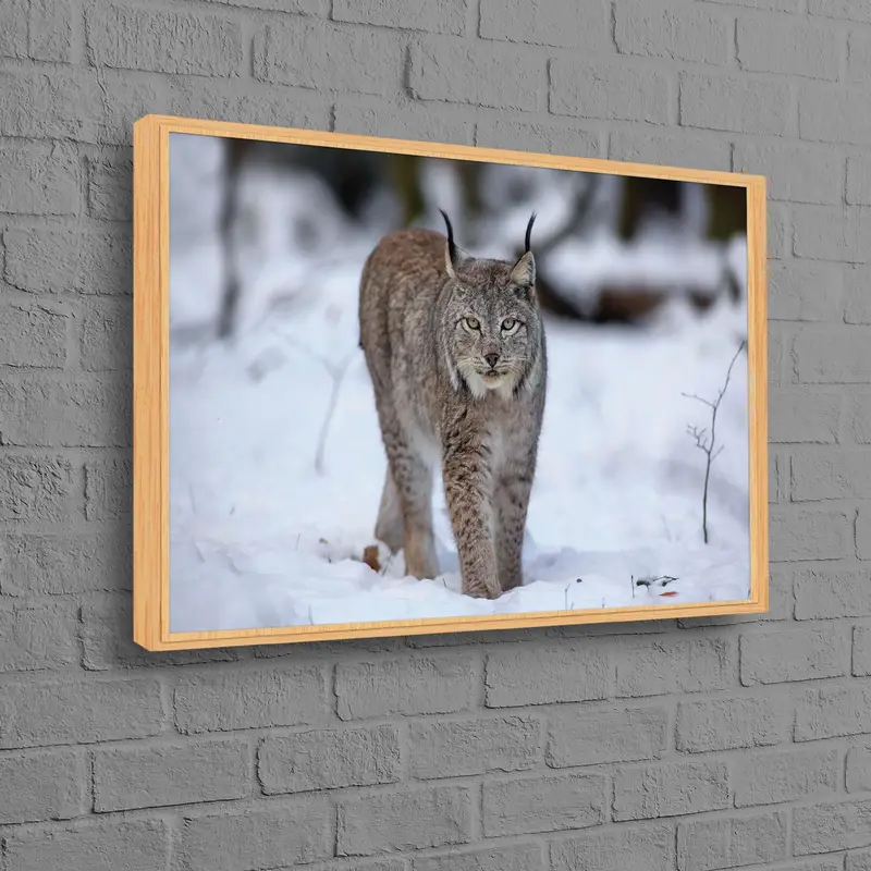 Wild Wolf Cat Canvas: 冬景色プリントアートパネル
