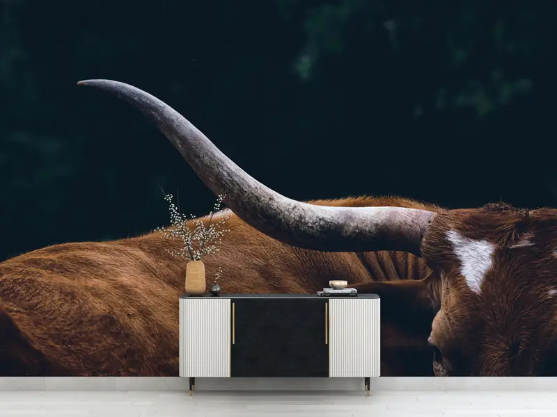 Elegante Hochlandkuh-Wildtier-Tapete – trendiges Bauernhaus-Dekor