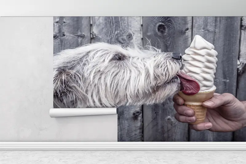 Paper Wall Art, Cute Dog Wall Poster, Modern Wall Paper, Custom Wall Paper, Cute Dog Wall Paper, Dog Ice Cream Wall Painting, - 7