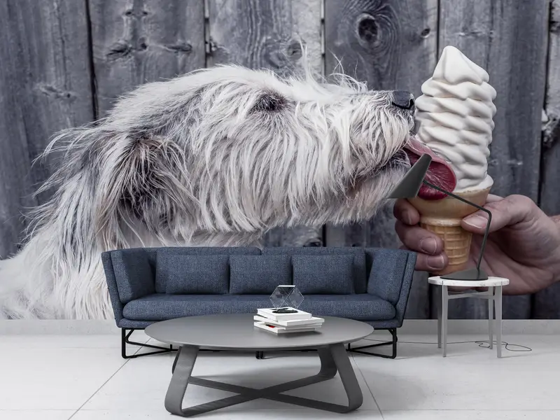 Paper Wall Art, Cute Dog Wall Poster, Modern Wall Paper, Custom Wall Paper, Cute Dog Wall Paper, Dog Ice Cream Wall Painting, - 1