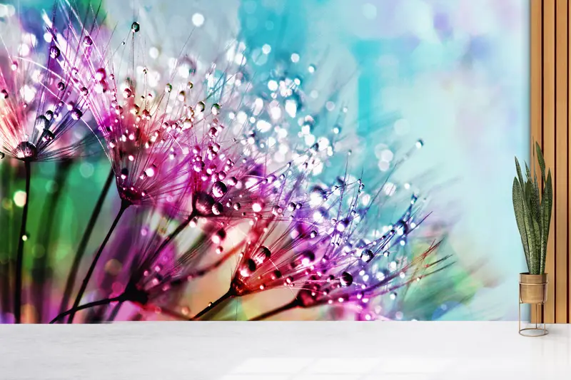 Zarif Karahindiba Duvar Kağıdı: Trendy, Renkli, Baskılı Dekor