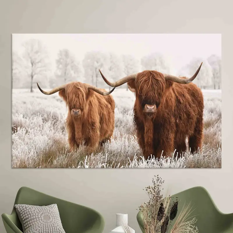 Elegant Highland Cow Canvas: Scottish Farmhouse Coastal Decor