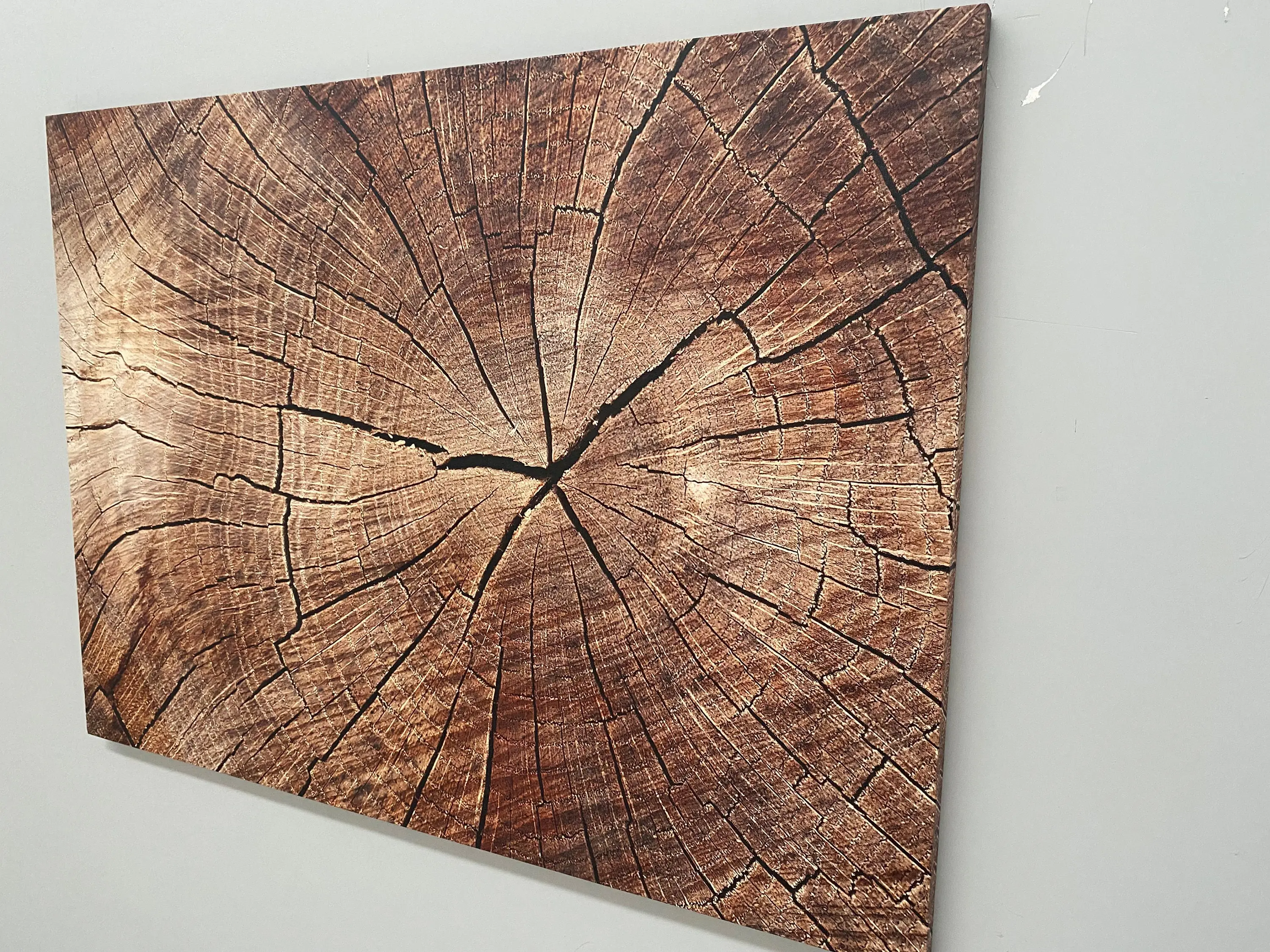 Contemporary Abstract Wood Crack Canvas Print - Trendy Nature Art - 1