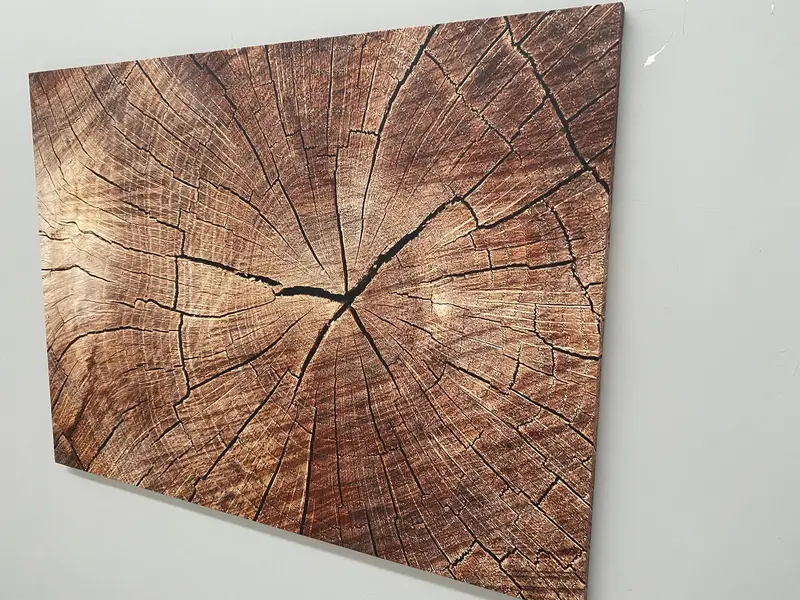 Impresión de lienzo de grietas de madera abstracta contemporánea - Arte de la naturaleza de moda