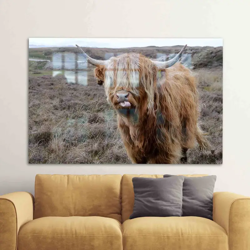 エレガントなプリントガラス：スコットランドのハイランド牛の風景