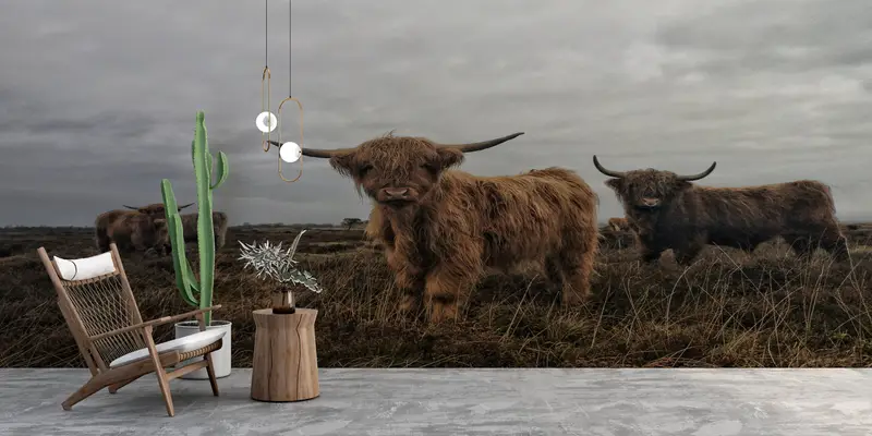 Highland Cow, Cow Wall Poster, Highland Cow Wallpaper, Cattle Wallpaper, Animal Wall Decor, Buffalo Wall Art, Horned Bull Wall Painting, - 4